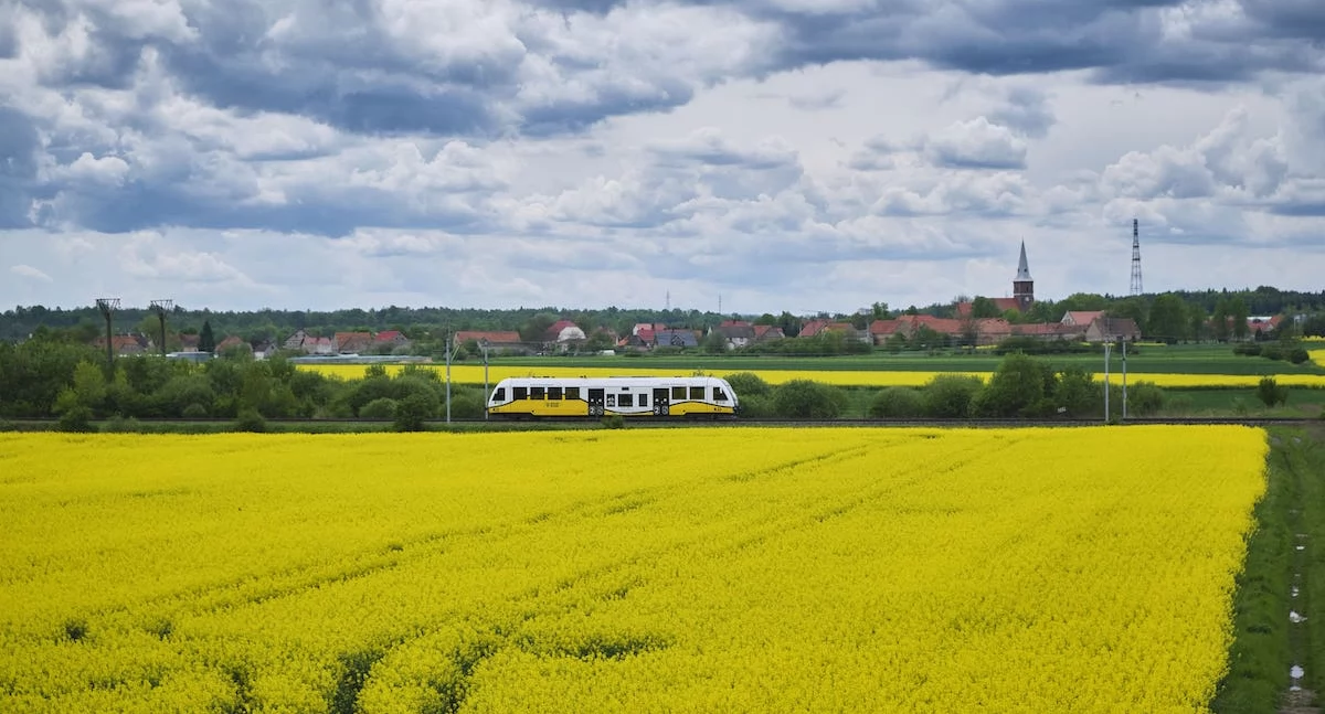 Komunikacja, Długi weekend pociągami Kolei Dolnośląskich - zdjęcie, fotografia