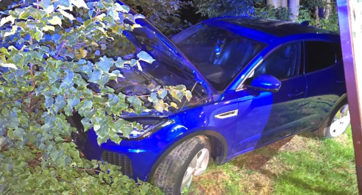 Wypadki drogowe, Uciekając Jaguarem przed policją wjechała zarośla - zdjęcie, fotografia