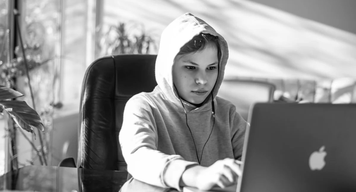 materiał partnera