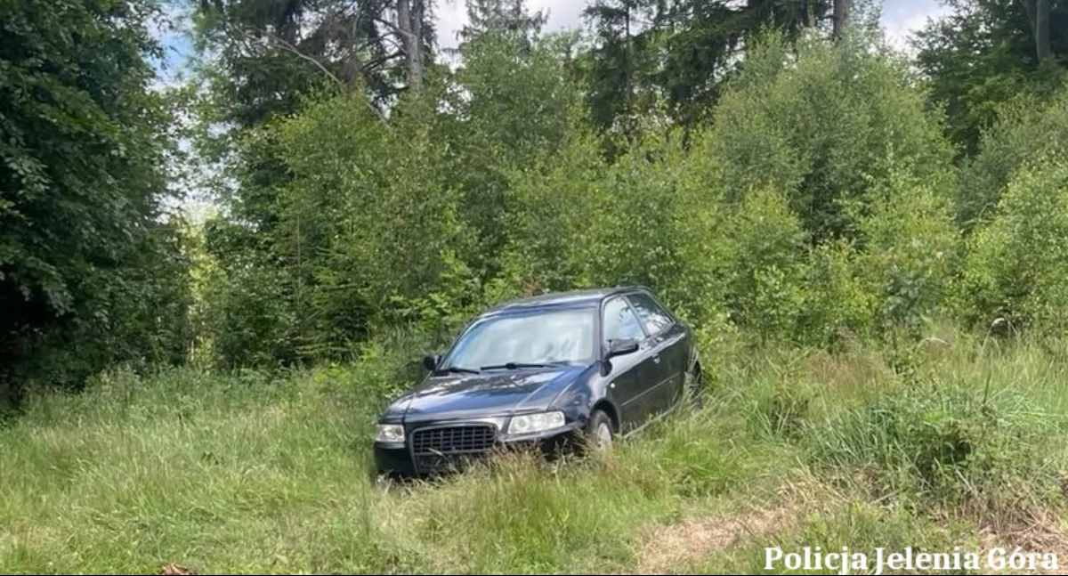 Kronika Kryminalna, Skazany więzienia latek ukrywał przed wymiarem sprawiedliwości - zdjęcie, fotografia