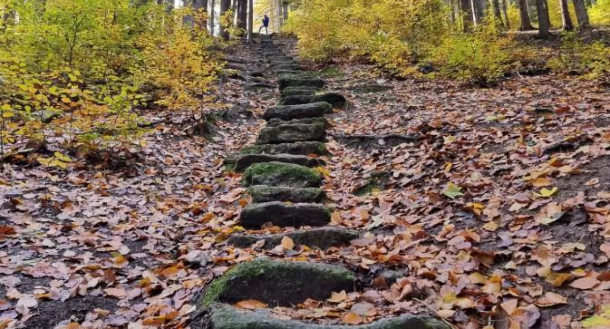 fot. Karkonosze GO