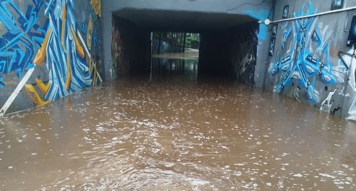 fot. Jelenia Góra Podaj Dalej