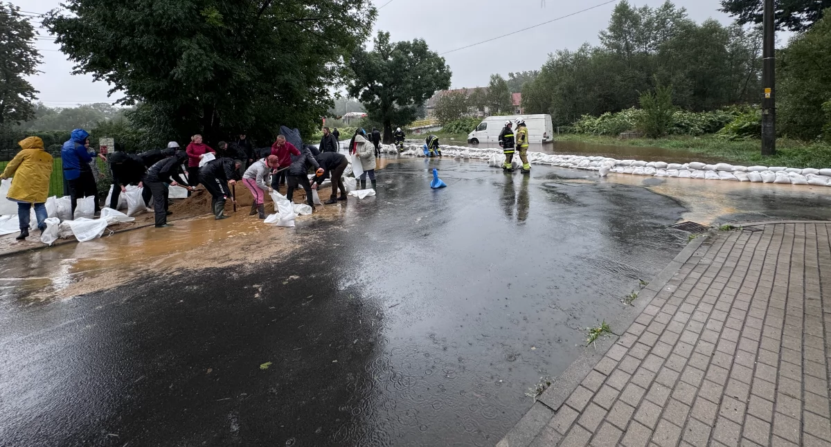 Bezpieczeństwo, Kryzys Jeleniej Górze Potrzebne ręce pomocy - zdjęcie, fotografia