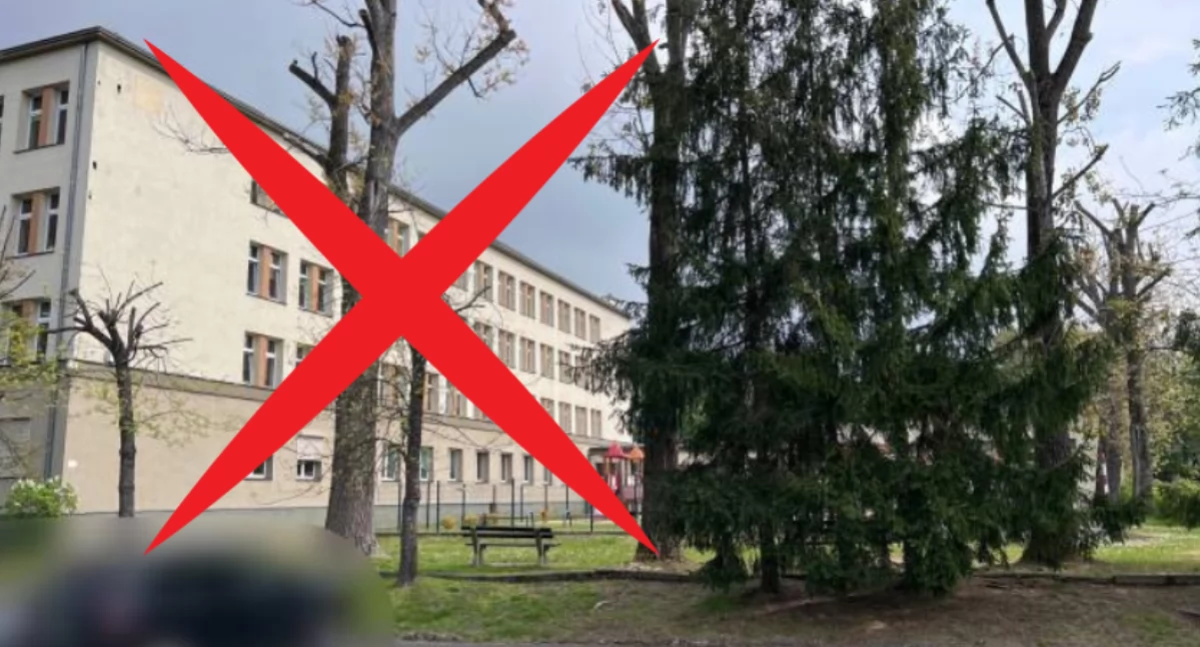 Edukacja, Prezydent przedłuża zawieszenie zajęć szkołach - zdjęcie, fotografia