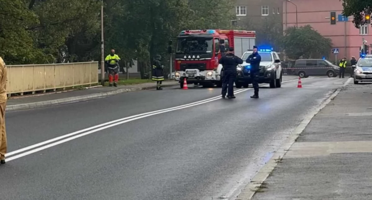 Komunikacja, Autobusy wracają swoje trasy - zdjęcie, fotografia