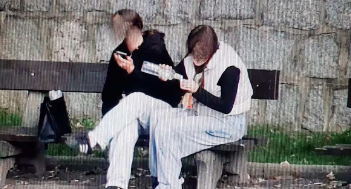 fot. Straż Miejska Jelenia Góra 