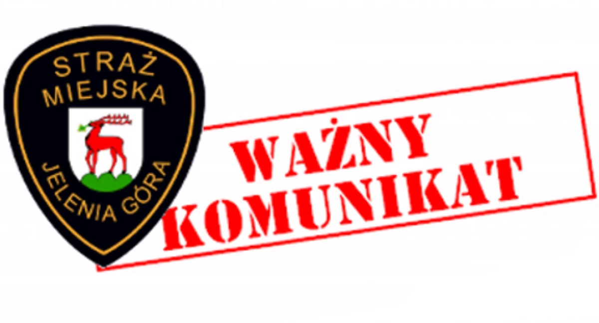fot. Straż Miejska Jelenia Góra 