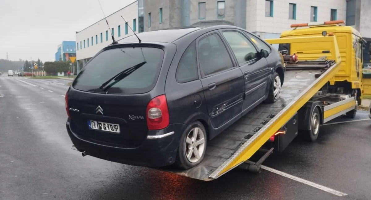 fot. Straż Miejska Jelenia Góra