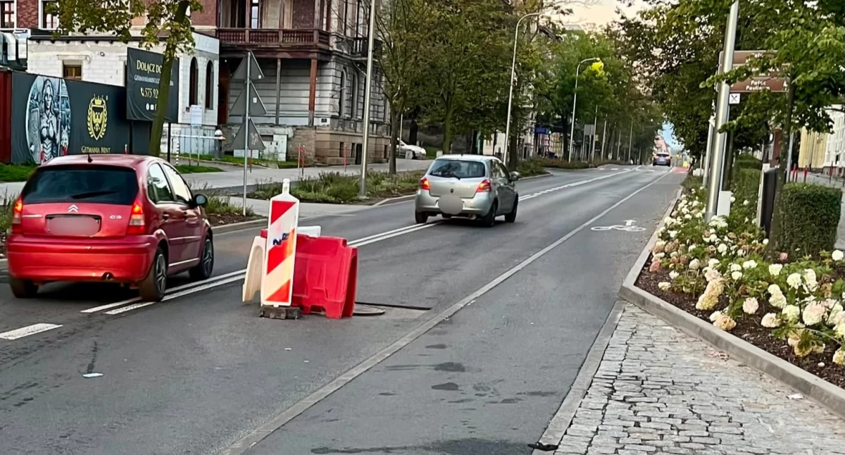 fot. Jelenia Góra Podaj Dalej / autor Mirosław Zglenicki