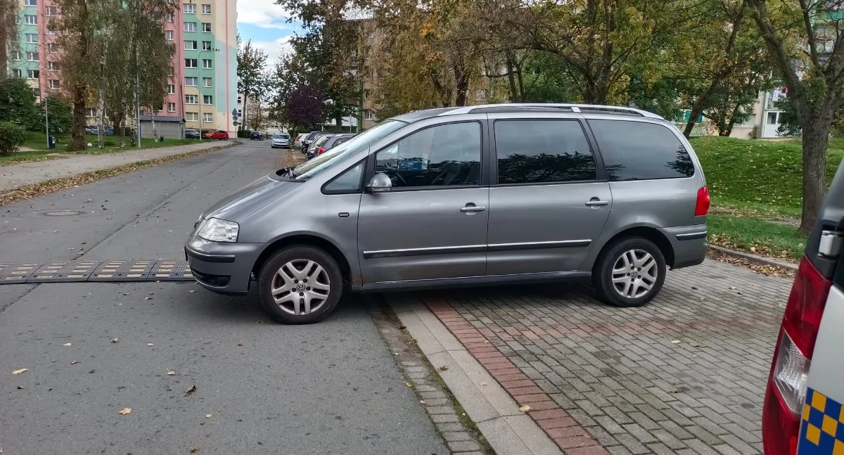 fot. Straż Miejska Jelenia Góra
