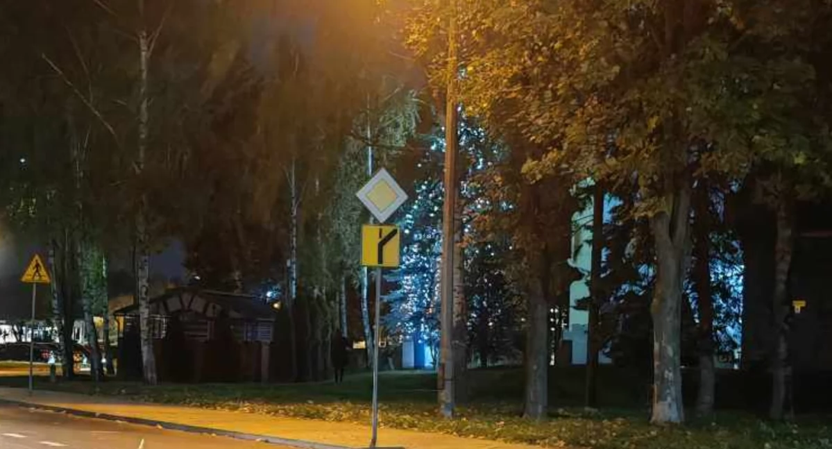 Absurdy, Zabobrzu ubrali choinkę wcześnie świąteczne ozdoby - zdjęcie, fotografia