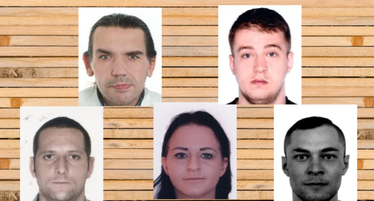 Komunikaty policji, Policjanci poszukują osób podstawie listów gończych - zdjęcie, fotografia