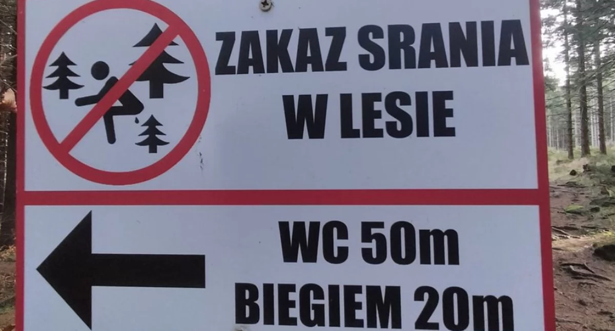 Absurdy, Zakaz srania lesie Dobitny komunikat odwiedzających - zdjęcie, fotografia