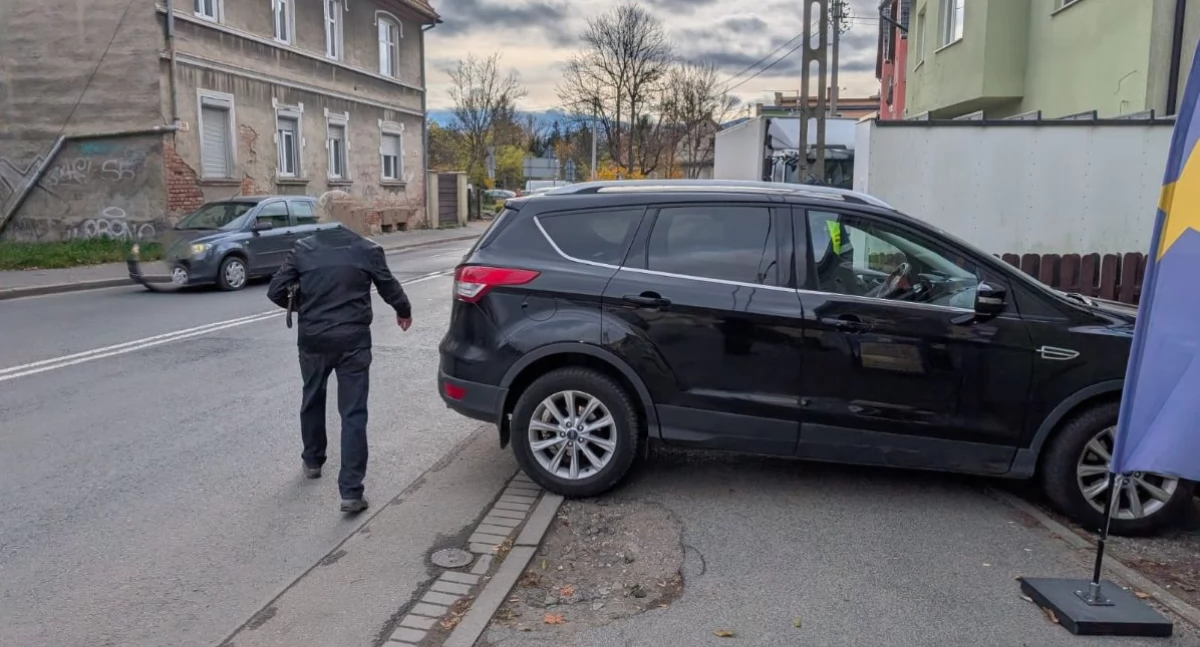 fot. Straż Miejska Jelenia Góra