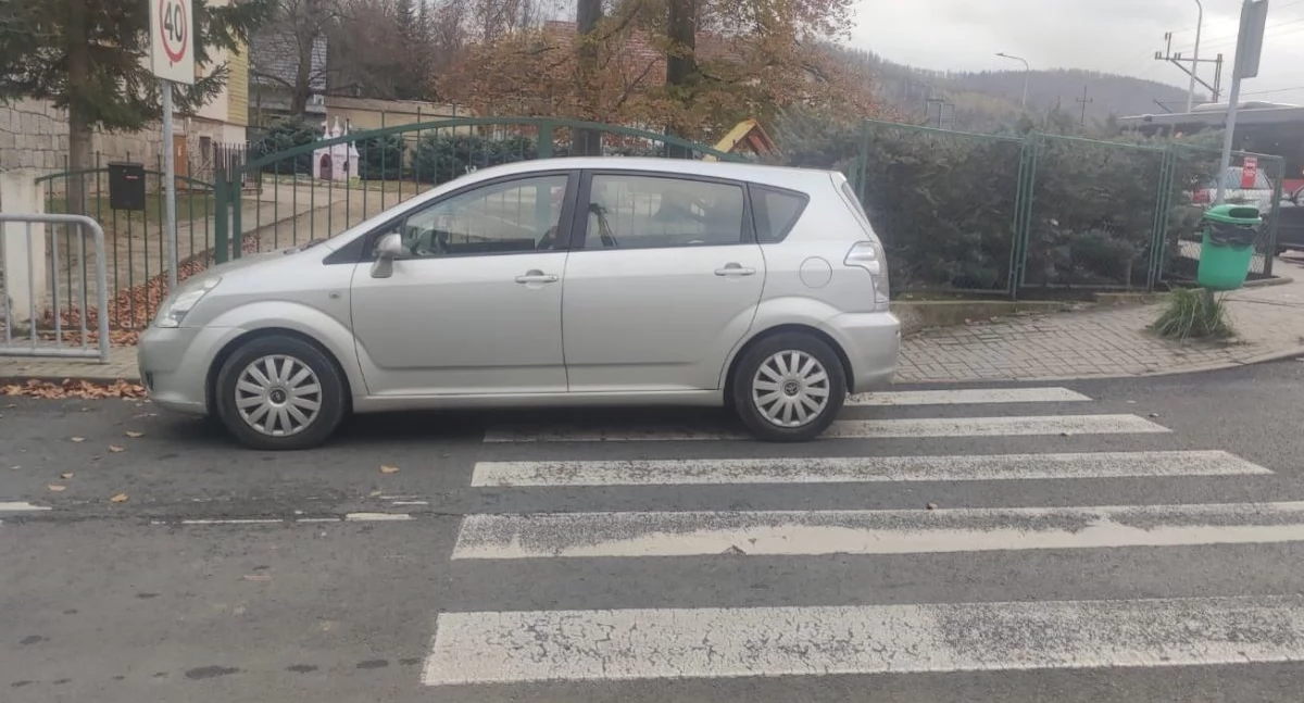 fot. Straż Miejska Jelenia Góra