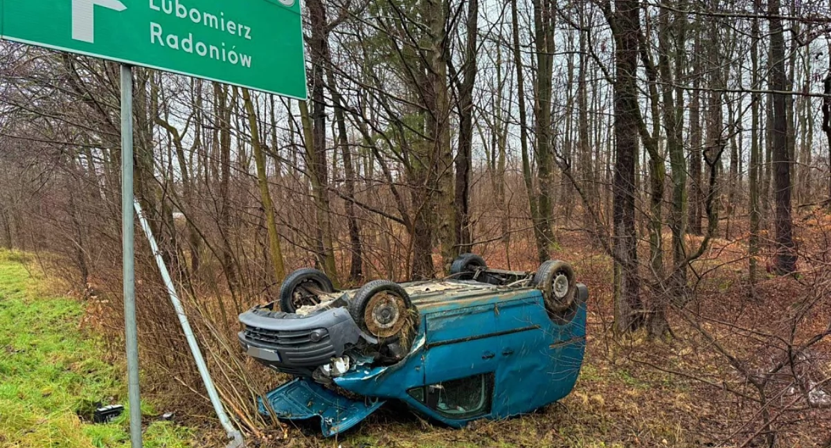 Wypadki drogowe, Kolejny incydent feralnym zakręcie Radoniowie - zdjęcie, fotografia