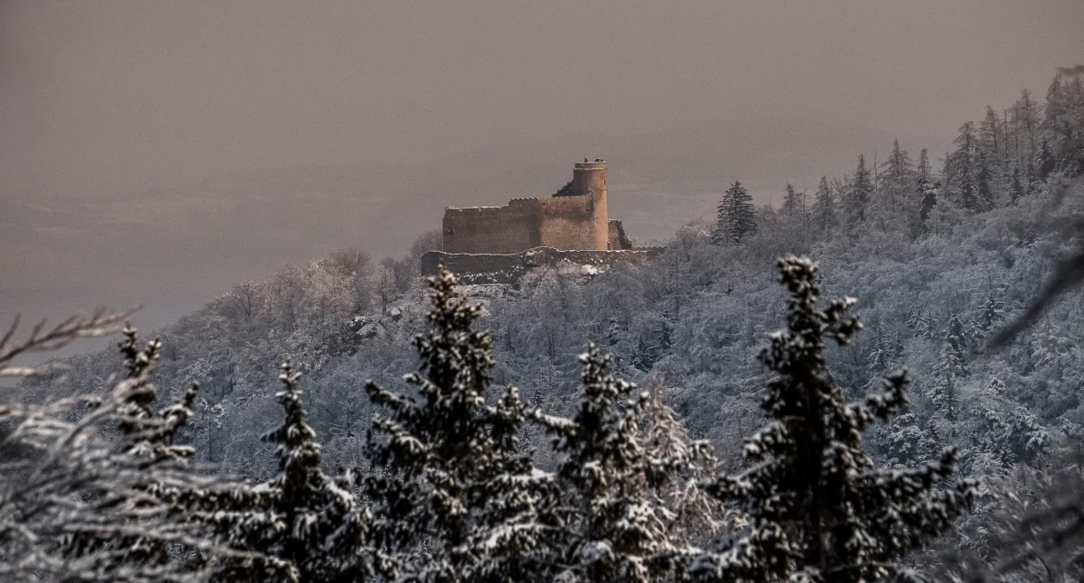 Usługi, warto odwiedzić podczas świątecznego pobytu Karkonoszach - zdjęcie, fotografia