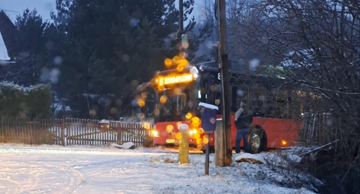 Absurdy, Problemy drodze Autobus podjechał wzniesienie blokuje przejazd - zdjęcie, fotografia