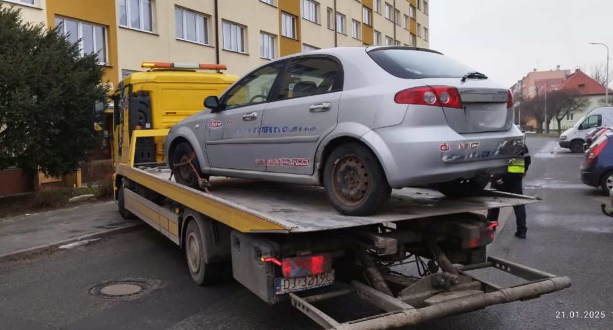 fot. Straż Miejska Jelenia Góra