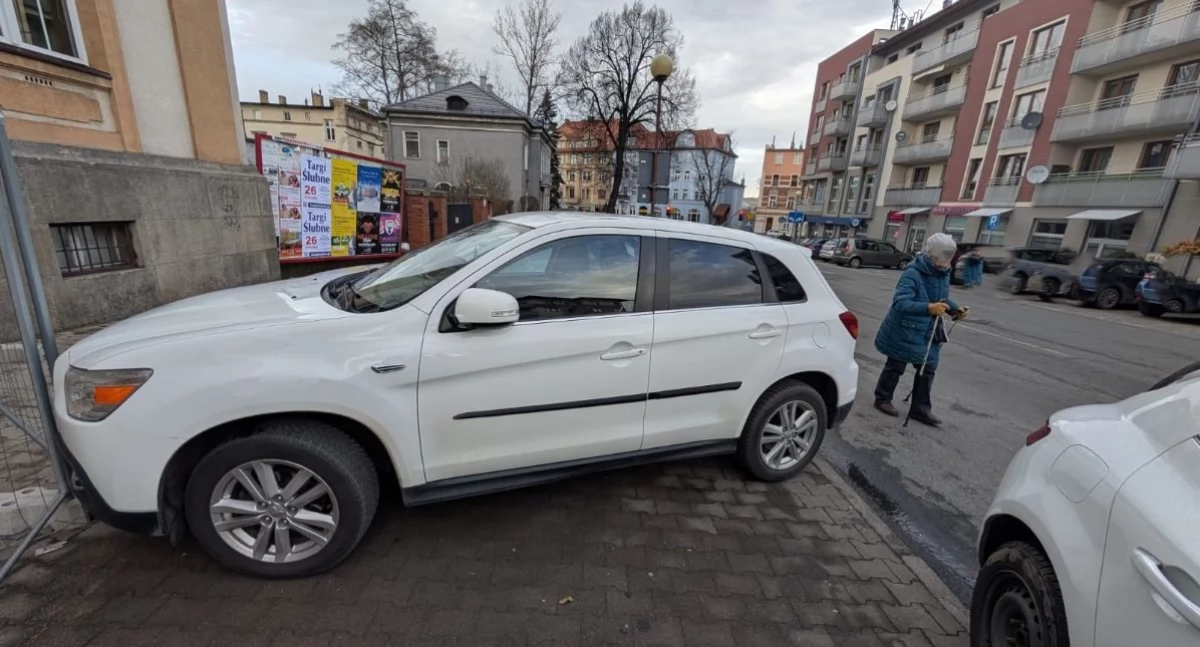 fot. Straż Miejska Jelenia Góra
