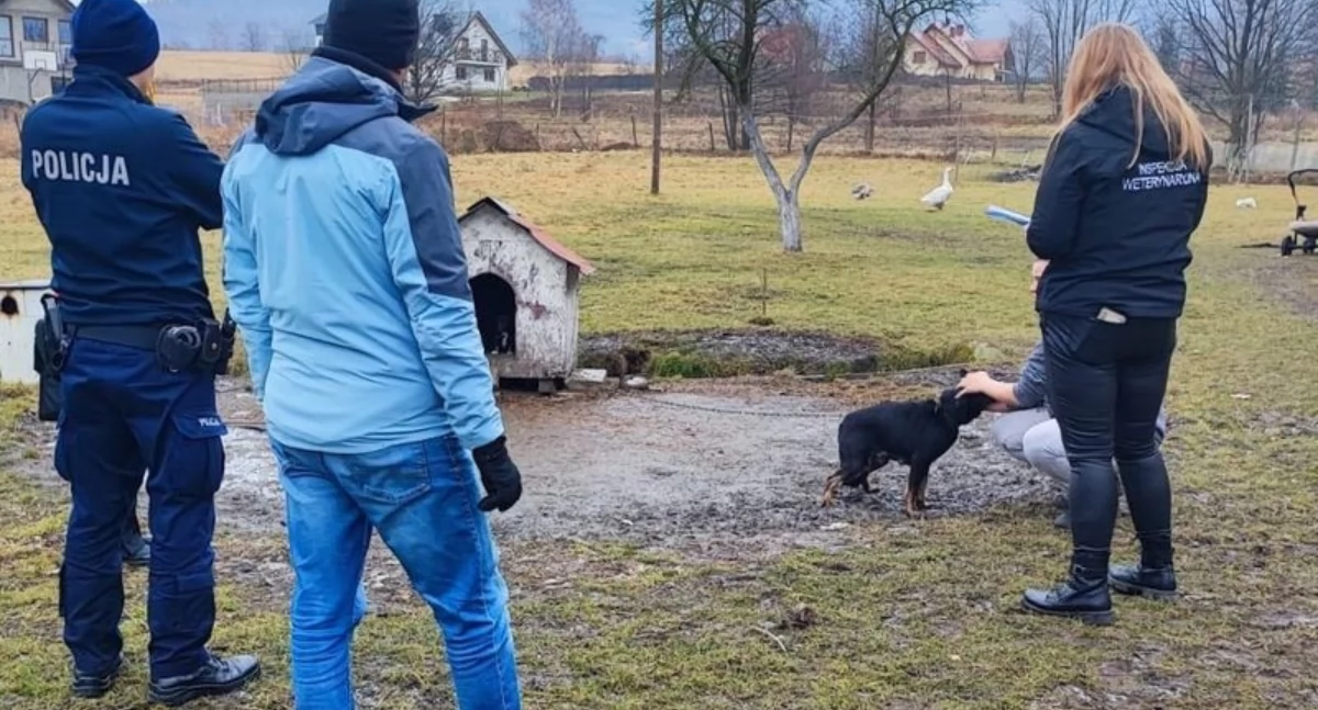 Zwierzęta, Kontrolowali warunki jakich mieszkańcy trzymają swoje zwierzęta - zdjęcie, fotografia