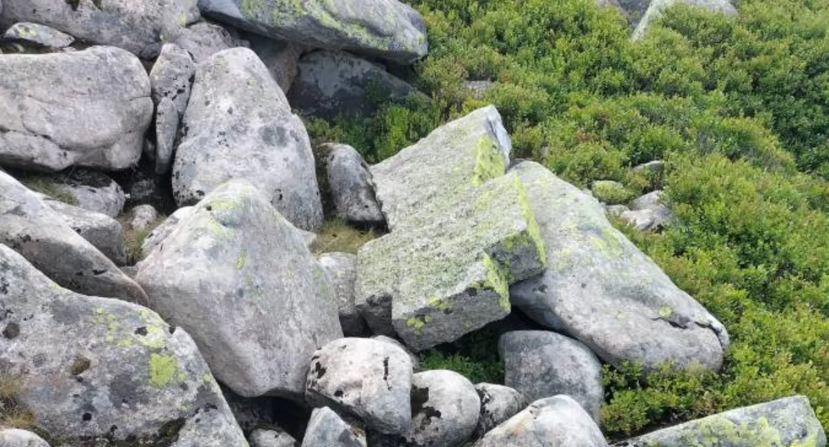fot. Karkonosze GO