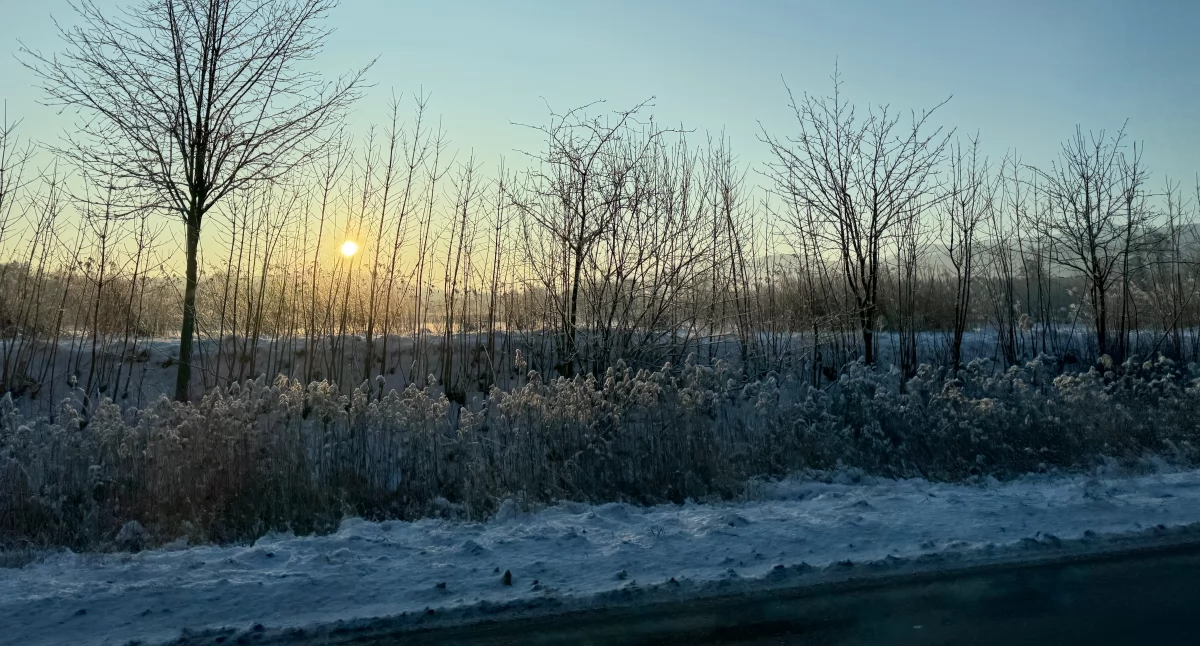 Ważne komunikaty, Potężny mróz regionie Takiej temperatury dawno było - zdjęcie, fotografia