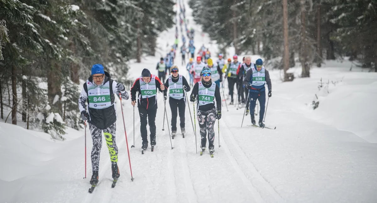 Wydarzenia, Piastów Festiwal Narciarstwa Biegowego sercu Dolnośląskiego Centrum Sportu - zdjęcie, fotografia