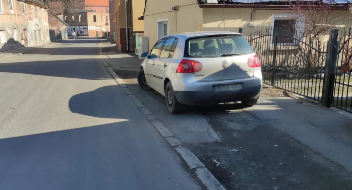 fot. Straż Miejska Jelenia Góra