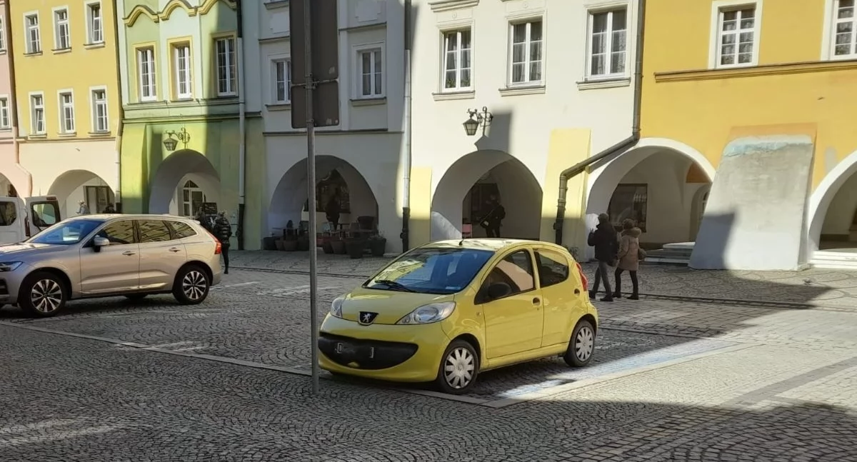fot. Straż Miejska Jelenia Góra