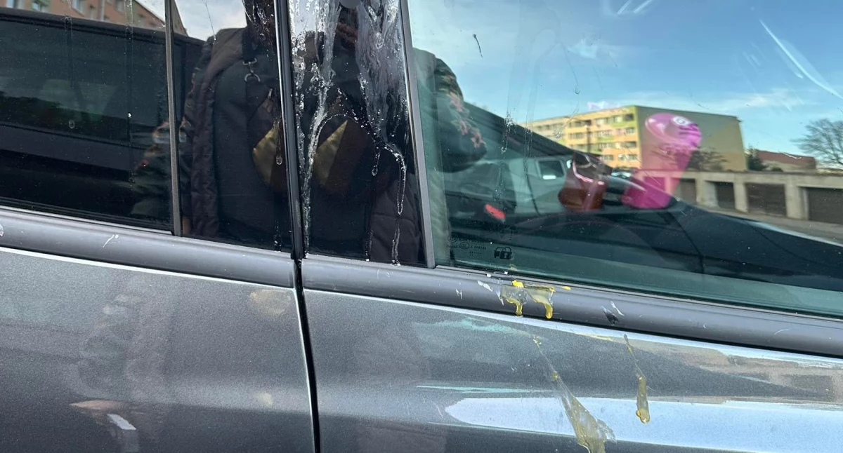 fot. Jelenia Góra Podaj Dalej / Facebook