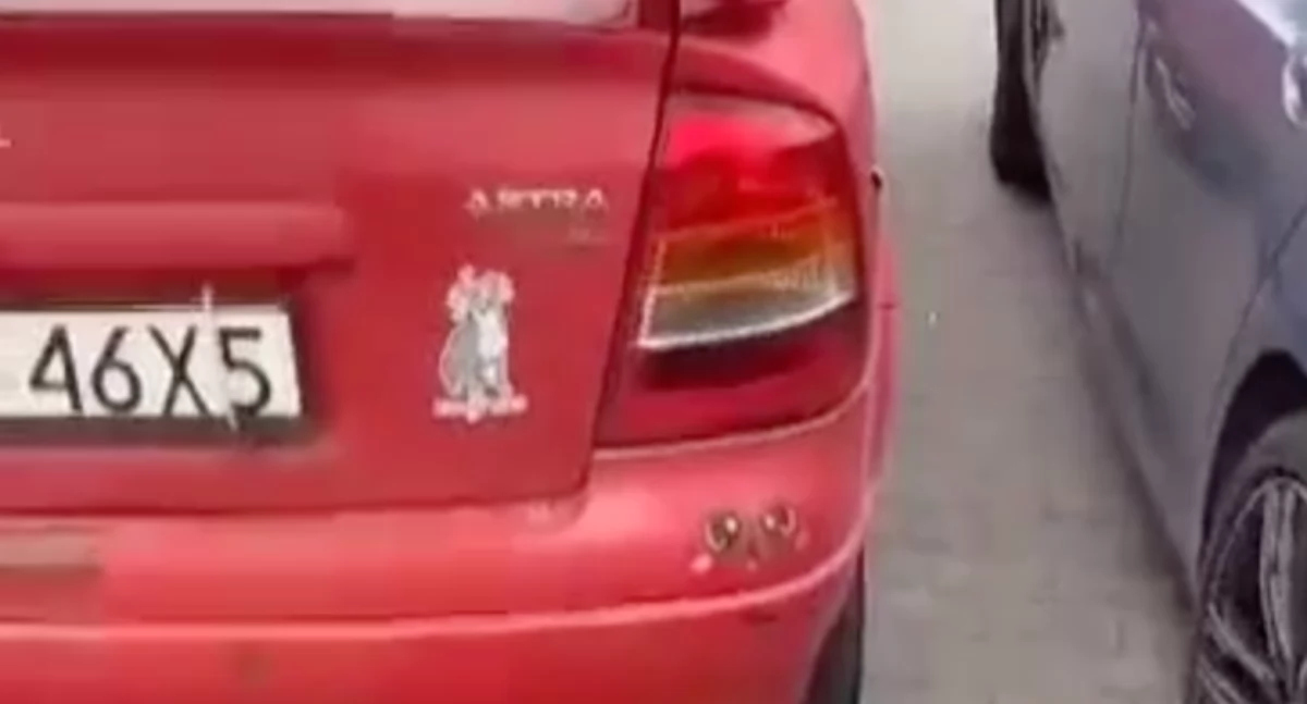 Absurdy, Awantura parkingu przed sklepem Cieplicach - zdjęcie, fotografia