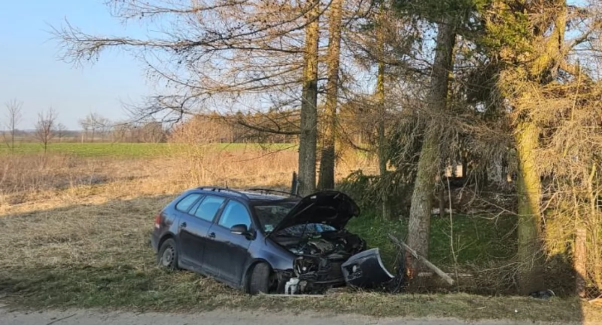 Wypadki drogowe, Pijany kierowca uderzył drzewo grozi surowa - zdjęcie, fotografia