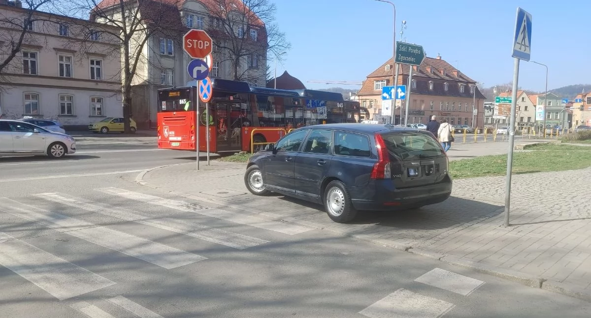 fot. Straż Miejska Jelenia Góra