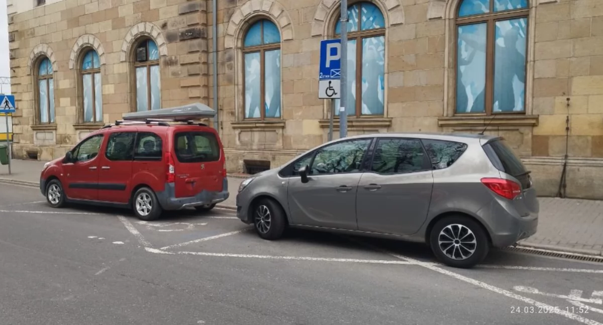 fot. Straż Miejska Jelenia Góra