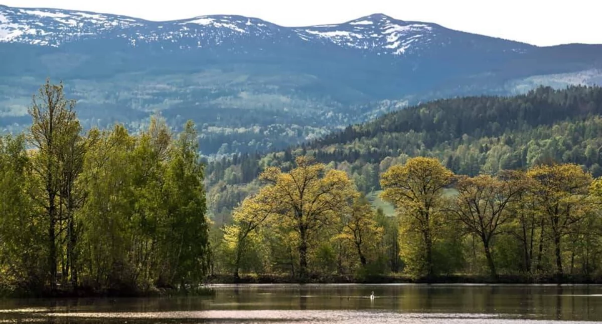 fot. Karkonosze GO