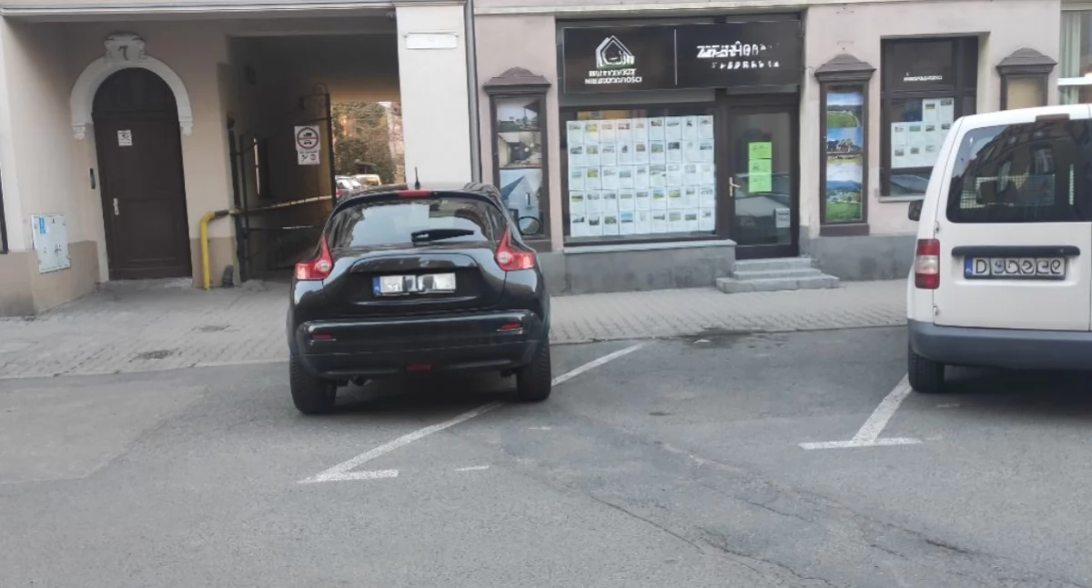 fot. Straż Miejska Jelenia Góra