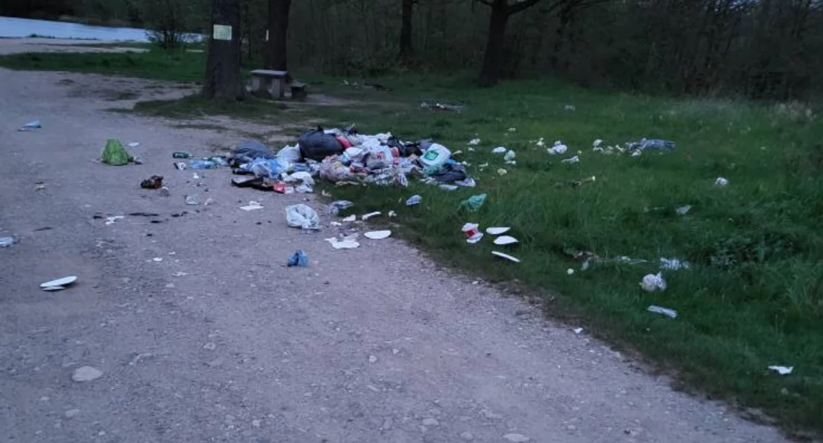 Absurdy, Totalny żwirowni głowie mieści - zdjęcie, fotografia