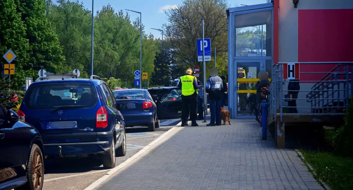 Zwierzęta, Zostawił nagrzanym samochodzie poszedł szpitala - zdjęcie, fotografia