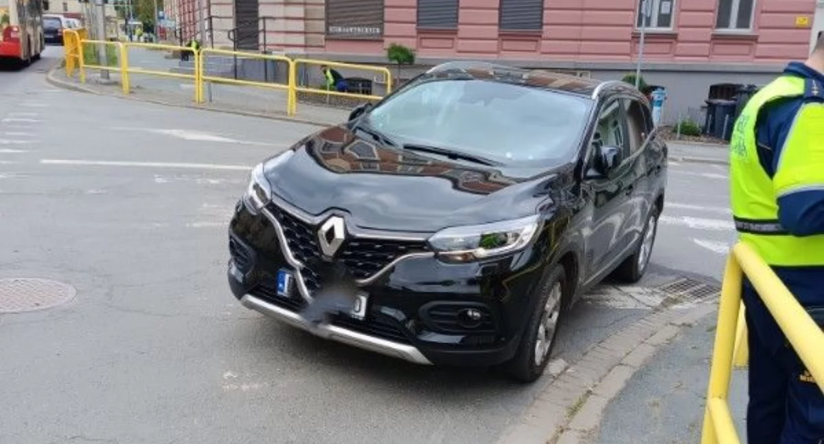 fot. Straż Miejska Jelenia Góra