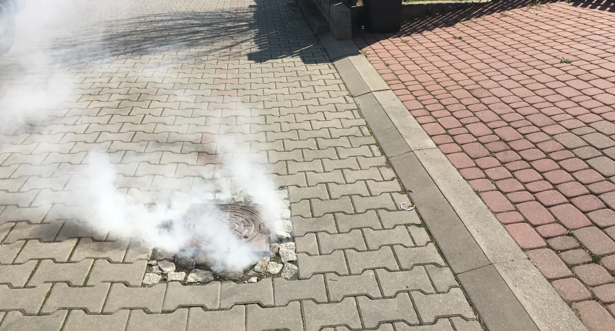 fot. WODNIK