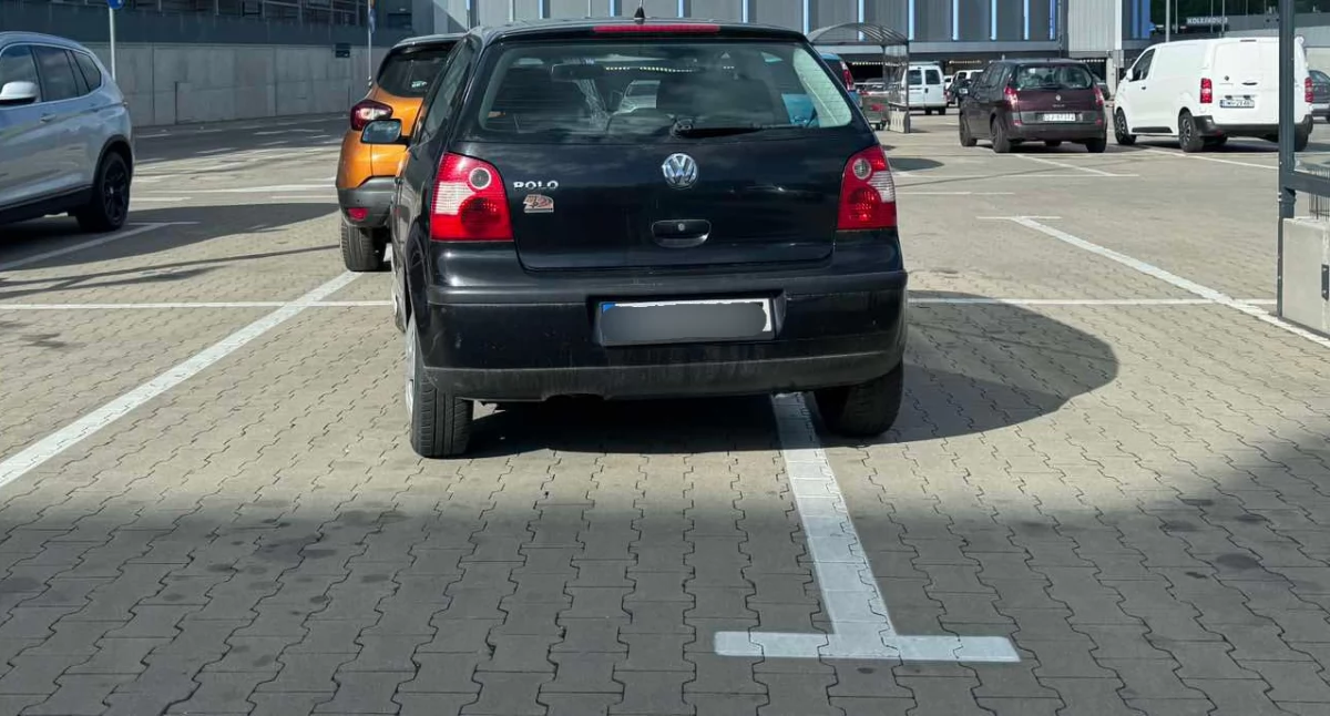 fot. poglądowe