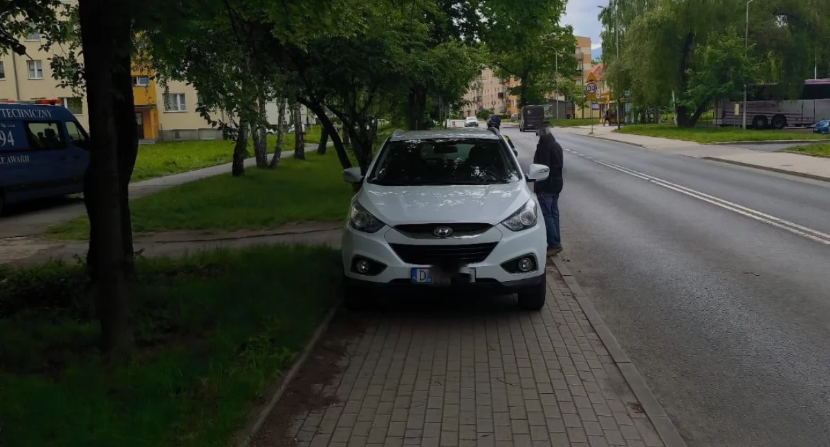 fot. Straż Miejska Jelenia Góra