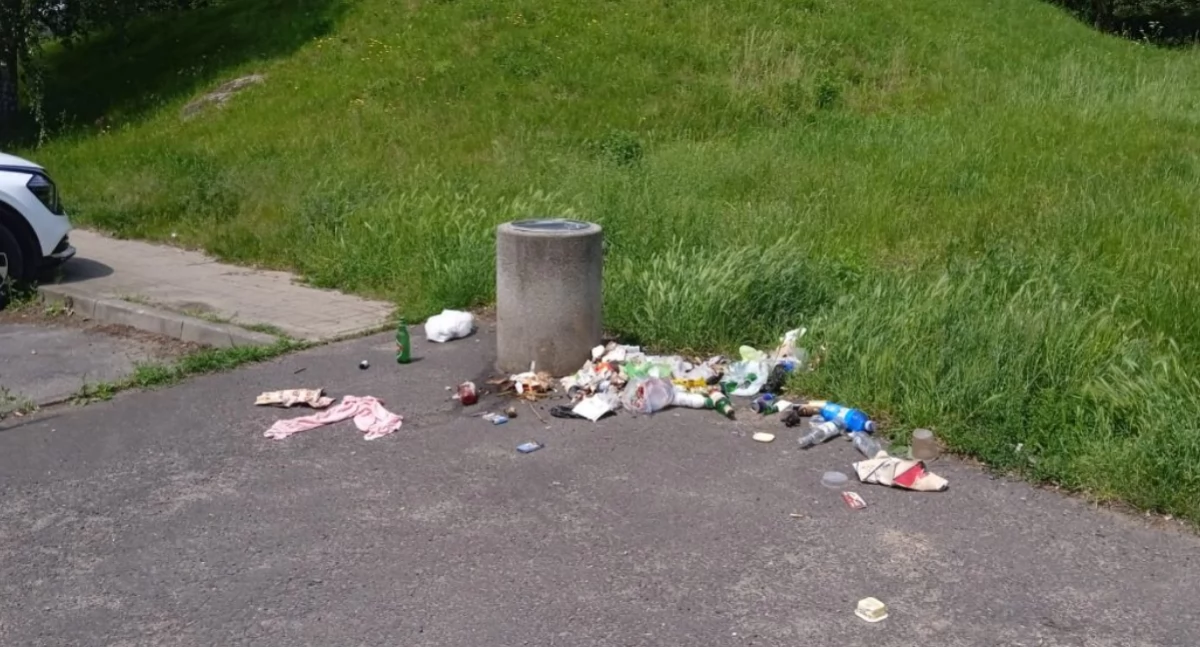 fot. Straż Miejska Jelenia Góra