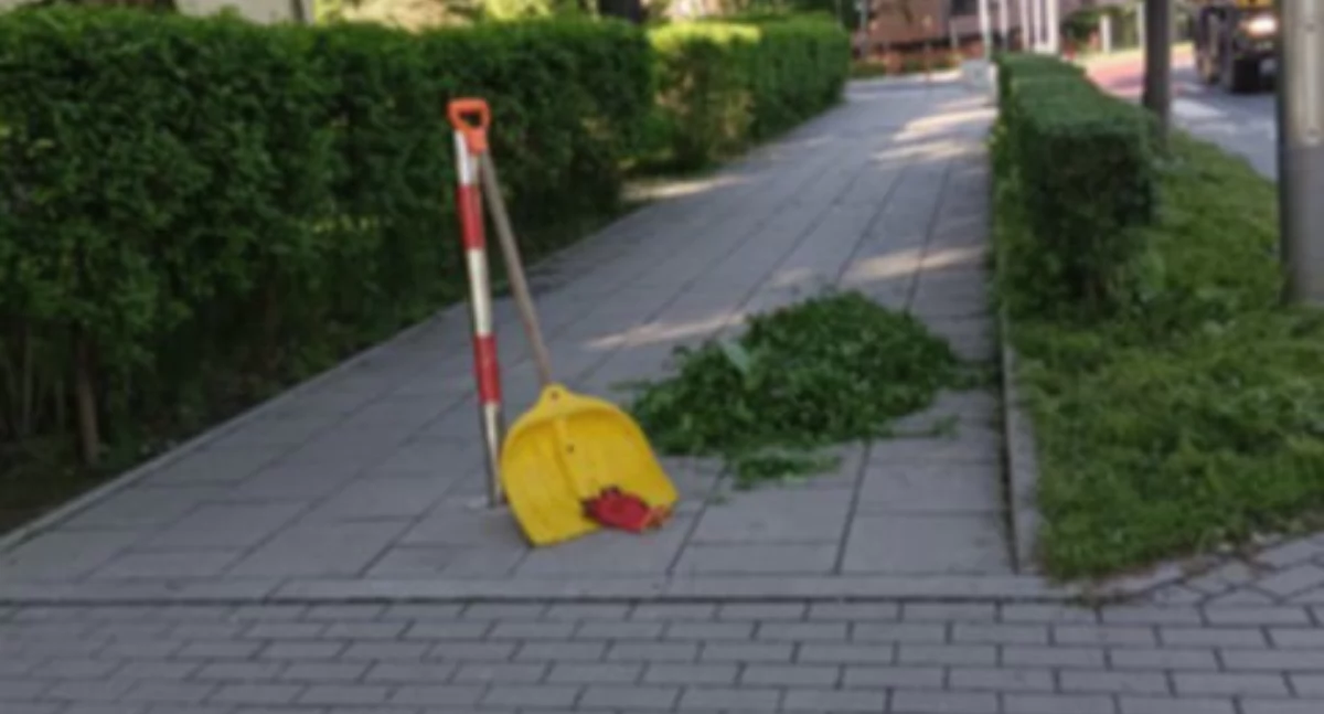 fot. MPGK Jelenia Góra