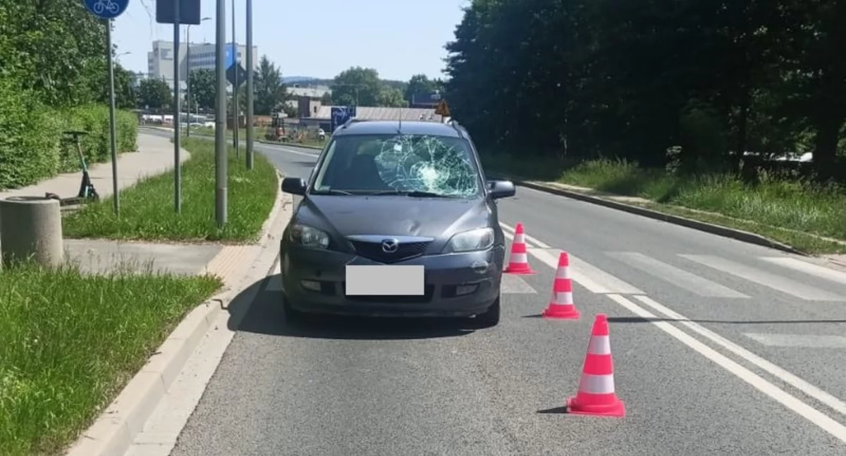 fot. Policja Jelenia Góra