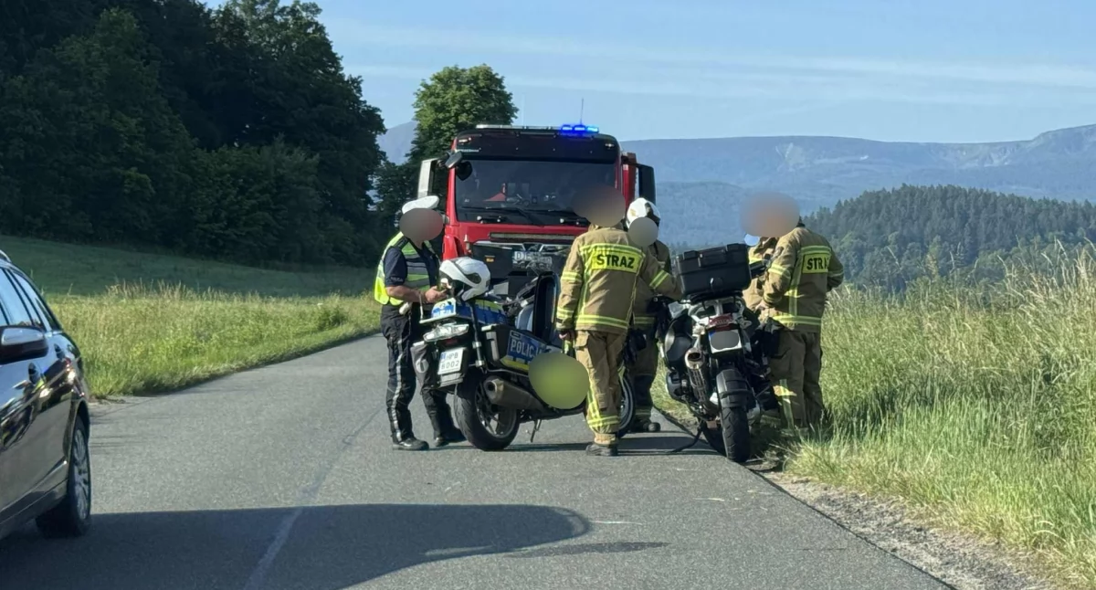 Wypadki drogowe, Zderzenie motocyklisty sarną Mężczyzna trafił szpitala - zdjęcie, fotografia