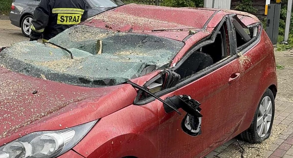 Interwencje, Gwałtowna nawałnica regionem Drzewo przygniotło samochód ulicy Spółdzielczej - zdjęcie, fotografia
