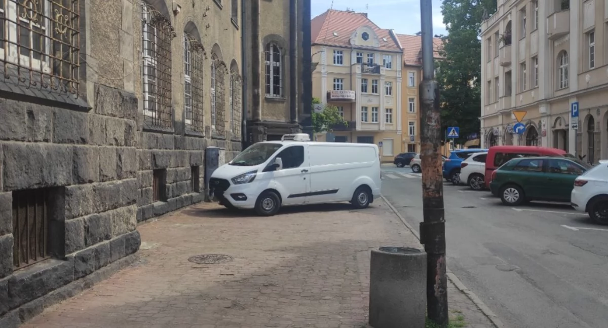 fot. Straż Miejska Jelenia Góra