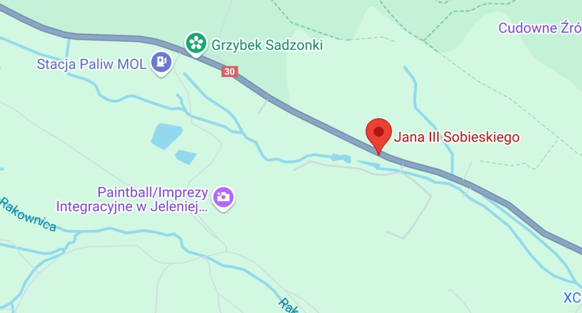 fot. Zrzut ekranu / google maps
